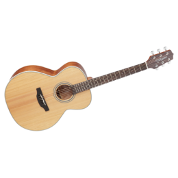 Takamine GN20 NS by 