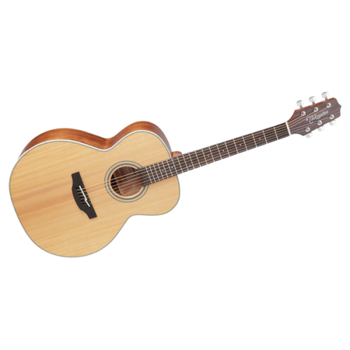 Takamine GN20 NS