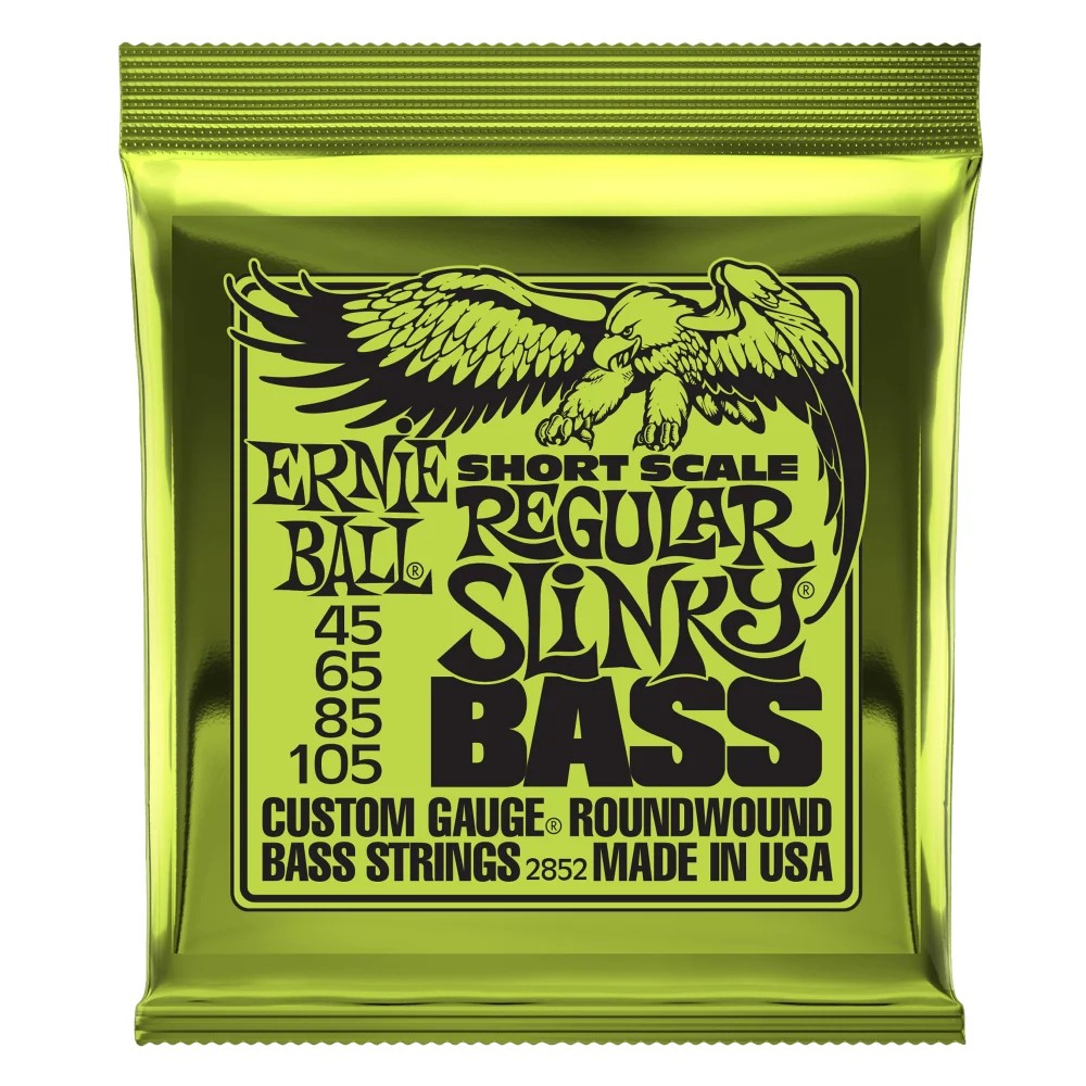 ERNIE BALL 45-105 BASS STRGS